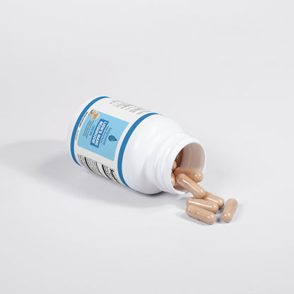 Lion's Mane Mushroom